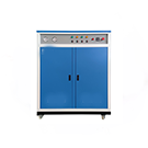 电热蒸汽发生器