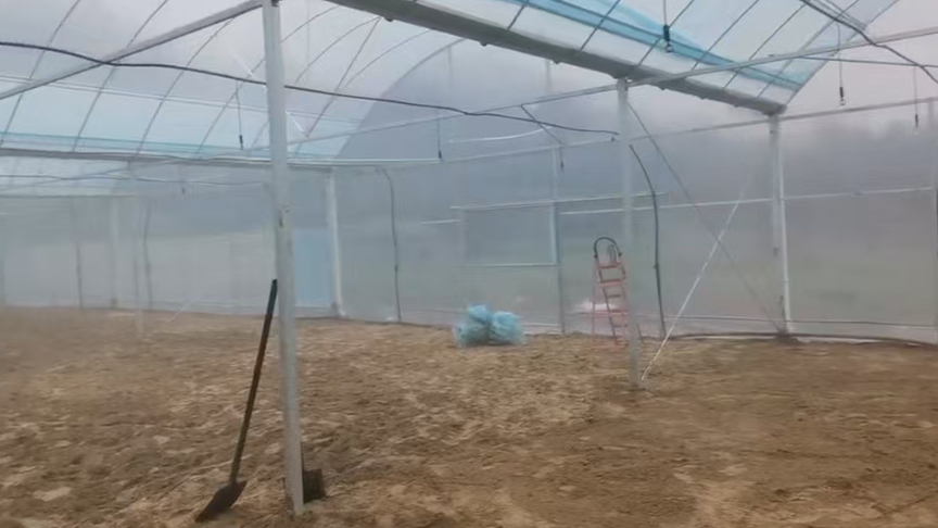 温室大棚催芽保温蒸汽应用
